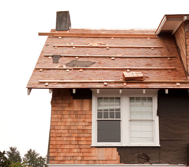 Best Brick Veneer Siding  in Cascade Chipita Park, CO